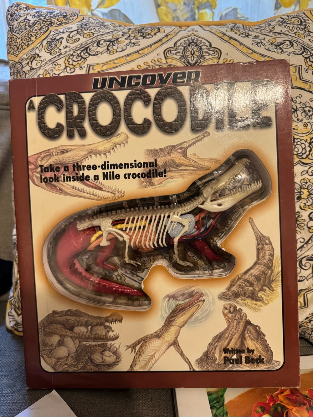 Undercover a crocodile